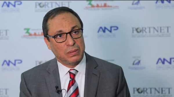 Abdelkader Amara confirme la détérioration de 500 ponts au Maroc (1)