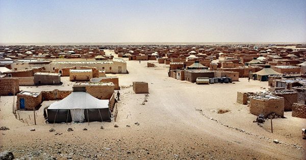 Camps de Tindouf