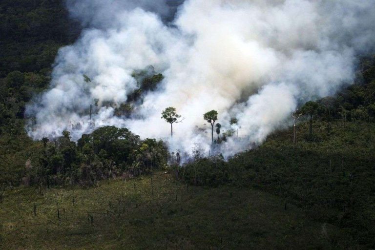 d-importants-incendies-ravagent-l-amazonie-depuis-deux-semaines