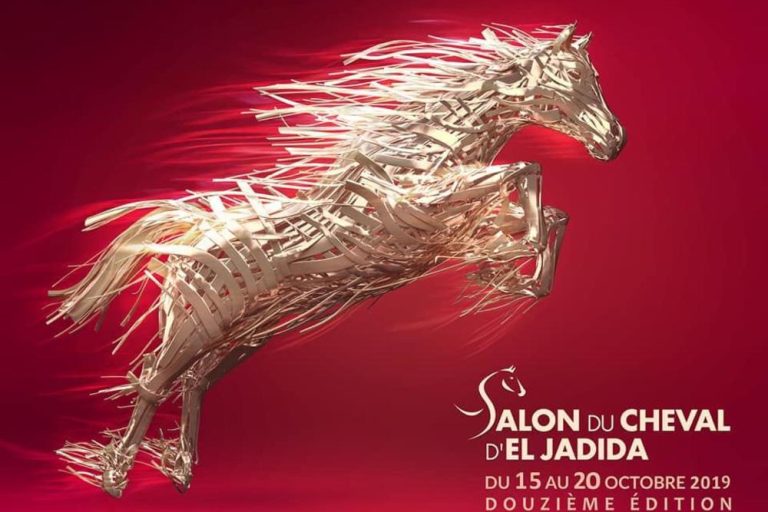 Salon du cheval d'El Jadida 