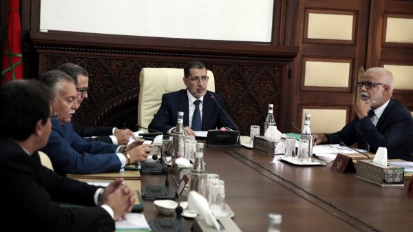 Un Conseil de gouvernement tenu en visioconférence sous la présidence du Chef du gouvernement Saad Dine El Otmani © DR