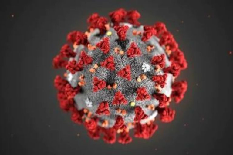 Coronavirus : progression vertigineuse de l'épidémie