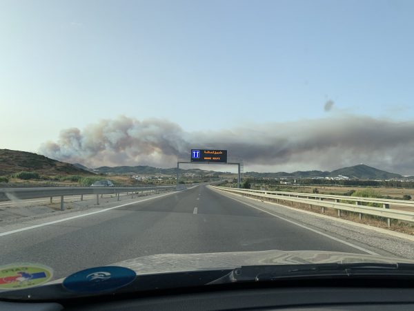M’diq-Fnidek : un feu ravage 50 hectares de couvert forestier
