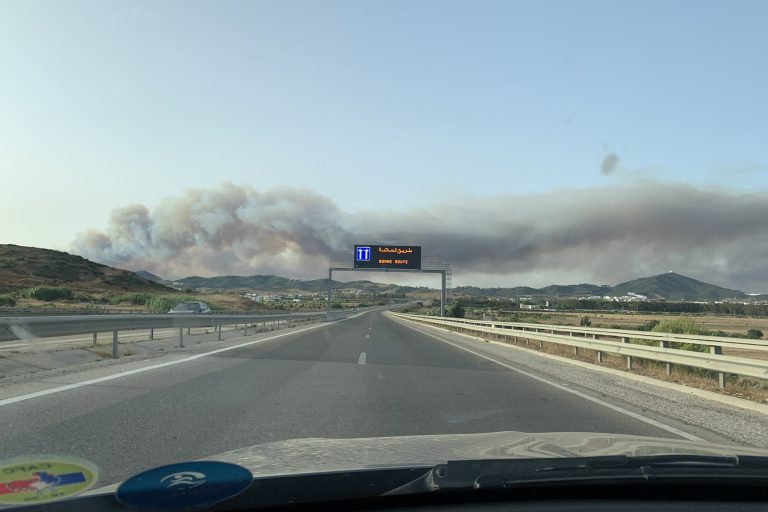 M’diq-Fnidek : un feu ravage 50 hectares de couvert forestier