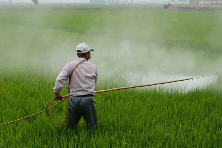 pesticides toxiques
