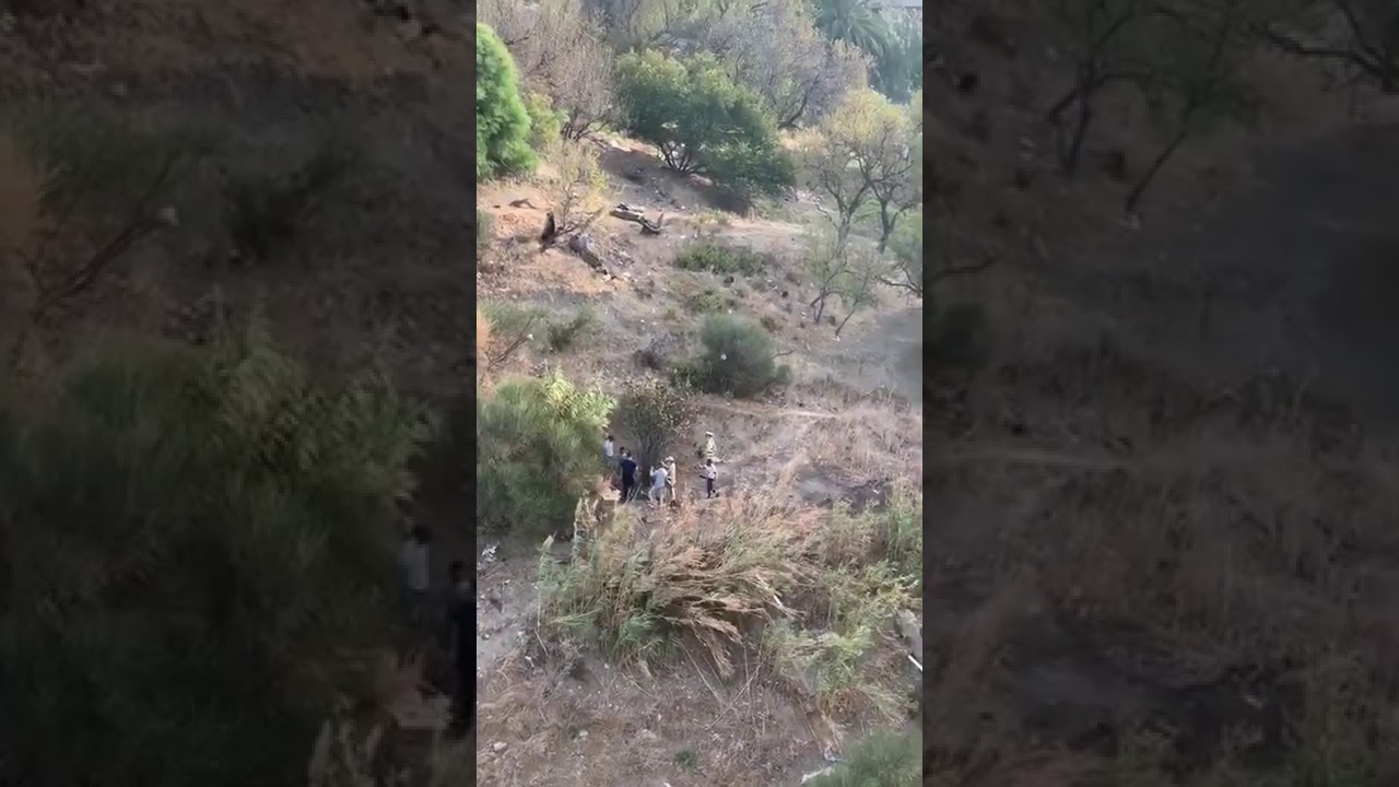 %D8%B4%D8%AF%D9%88%D9%87 %D8%AD%D9%8A.. %D8%AA%D9%88%D9%82%D9%8A%D9%81 %D8%B4%D8%AE%D8%B5 %D9%85%D8%AA%D9%84%D8%A8%D8%B3 %D8%A8%D9%85%D8%AD%D8%A7%D9%88%D9%84%D8%A9 %D8%A7%D8%BA%D8%AA%D8%B5%D8%A7%D8%A8 %D8%B7%D9%81%D9%84 %D9%81%D9%8A %D8%B7%D9%86%D8%AC%D8%A9