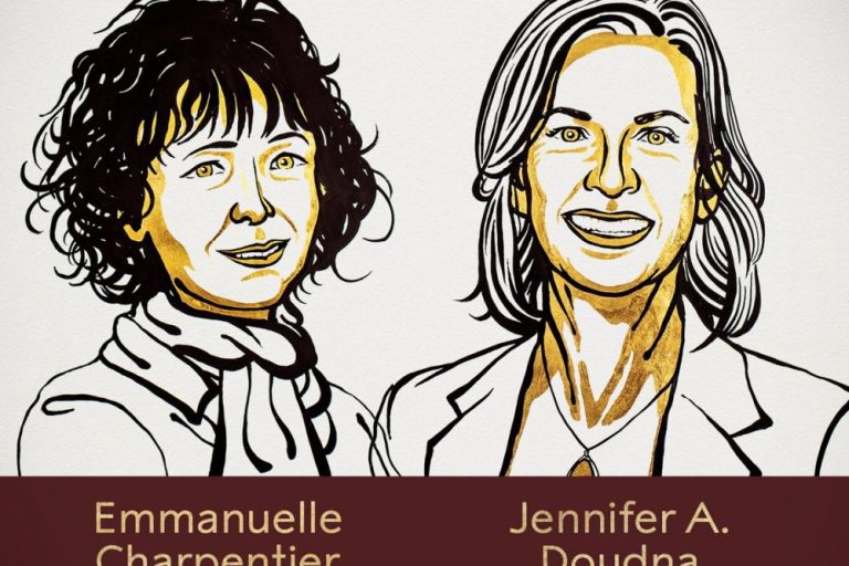 Prix Nobel de chimie : deux chercheuses récompensées 