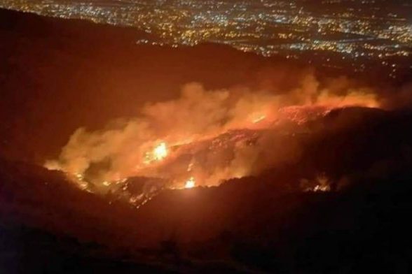 Des feux de forêt ravagent l’Algérie 