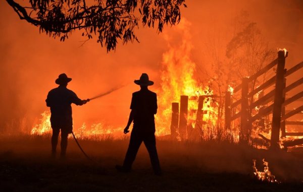 L’Île Fraser en Australie ravagée par les feux de forêt