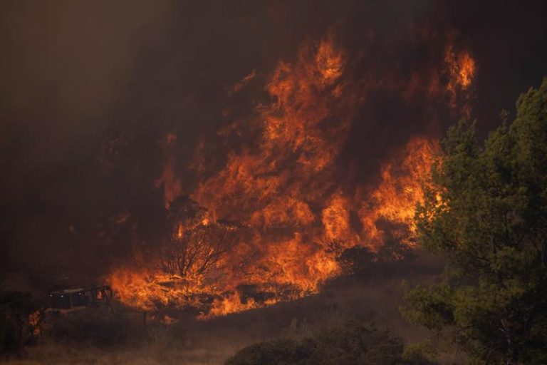 Des feux de forêt dans un canyon du sud de la Californie © REUTERS