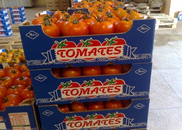 Les tomates en tête de liste des produits agricoles les plus exportés