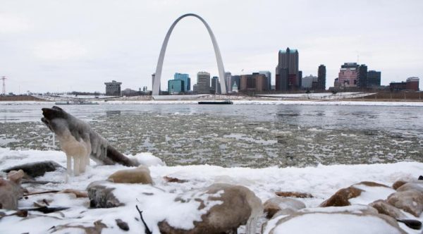 Un froid polaire s'abat sur les USA © Reuters