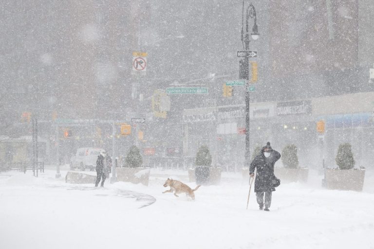 Quelque 13 cm de neige recouvraient déjà Central Park en début de matinée, ce lundi 1er février © MAXPPP