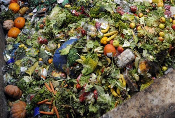 Photo prise le 23 octobre 2012 à Morsbach de déchets alimentaires transformés en énergie © AFP