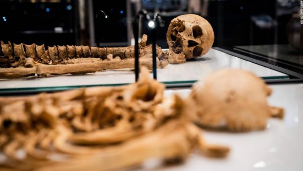 Une analyse ADN conduit à la découverte de 2 membres d'une famille Viking