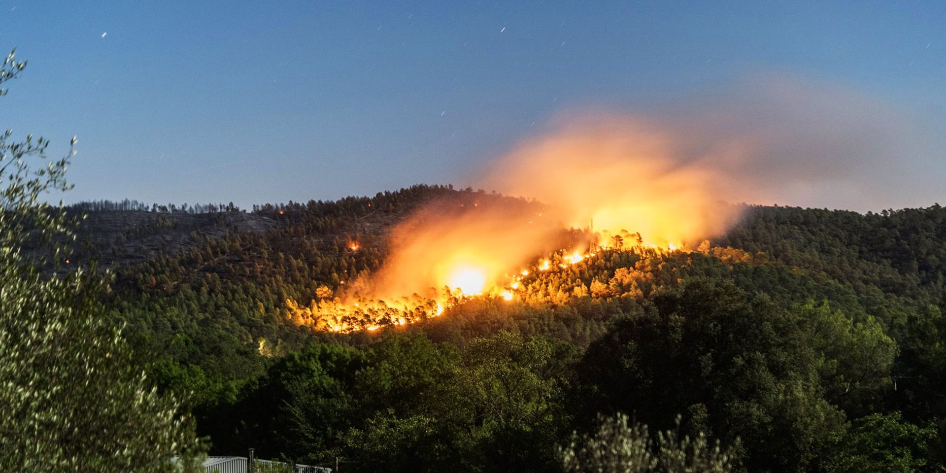 Canicule : plus de 1.200Ha de forêt ravagés par les feux