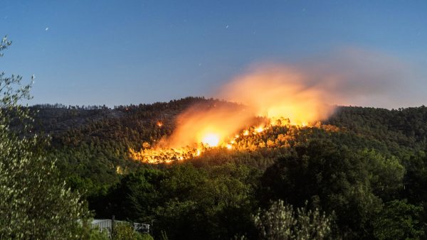 Canicule : plus de 1.200Ha de forêt ravagés par les feux