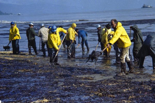 USA : apparition d’une marée noire meurtrière en Californie