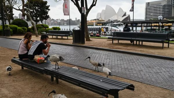 Après quatre mois de restrictions, Sydney sort du confinement