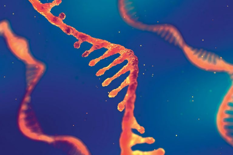 Comment l'ARN peut changer l’histoire de la médecine 
