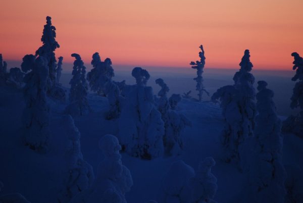 Finlande : début de la nuit polaire