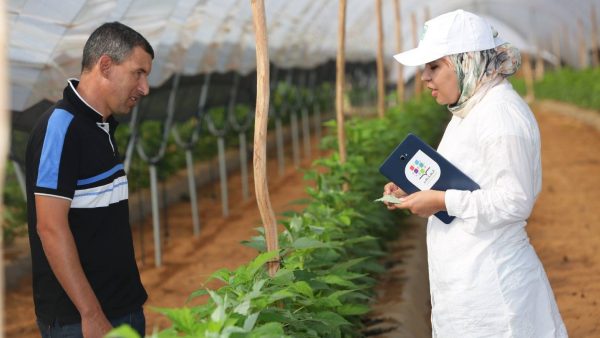 OCP : le programme Al Moutmir a accompagné 50.000 agriculteurs en 3 ans