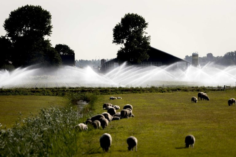 Pays-Bas : vers des fermes plus durables ?