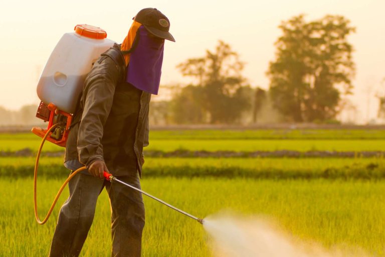 Les dangers des pesticides