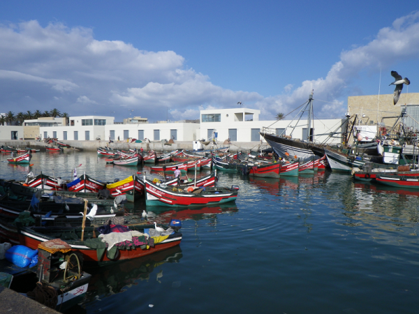 Port de pêche d'El Jadida