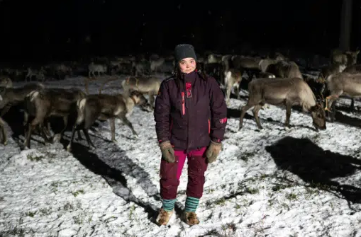 L'élevage ancestral des rennes séduit à nouveau les jeunes finlandais