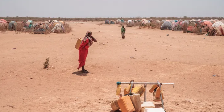 En Éthiopie, une sécheresse sans précédent ravage la vie des nomades
