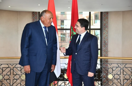 Sameh Shoukry, ministre égyptien des Affaires Etrangères et Nasser Bourita, ministre des Affaires étrangères, de la Coopération africaine et des Marocains résidant à l'Etranger ©DR