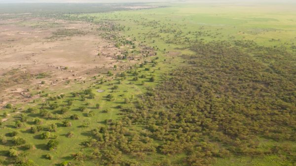 COP15 : la "Grande muraille verte" reste la seule solution à la désertification au Sahel