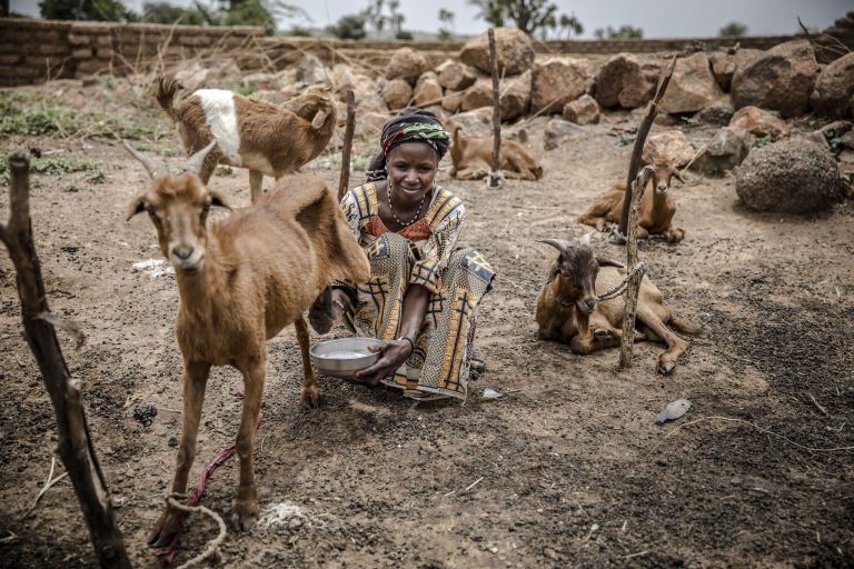 Tchad : l’urgence alimentaire est officiellement déclarée