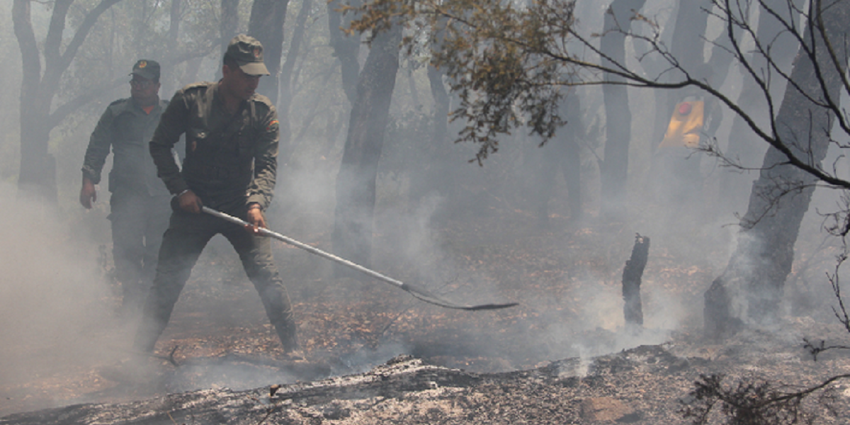 Poursuite des efforts à Larache pour la maîtrise de l’incendie à la forêt de "Bouhachem Jbel El Alam" © MAP