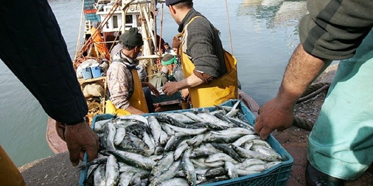 Pêche : hausse des débarquements de 21% à fin juin (ONP)