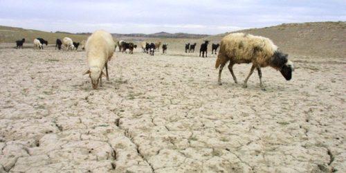 Les agriculteurs et éleveurs sont très impactés par le manque d’eau