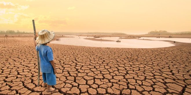 Réchauffement climatique : l’Afrique maudite ?